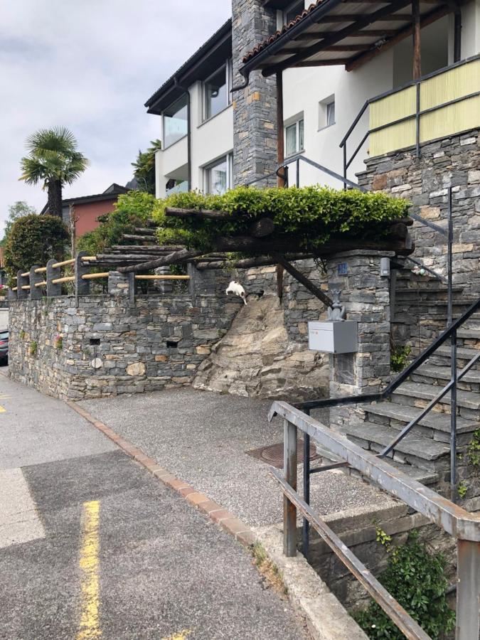 Casa Amira - Locarno Lägenhet Brione sopra Minusio Exteriör bild